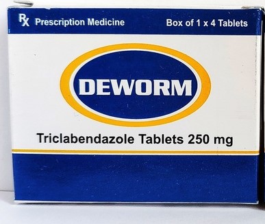 Deworm ( ДЕВОРМ ) Триклабендазол 250 мг (аналог Лезаксис - LESAXYS)